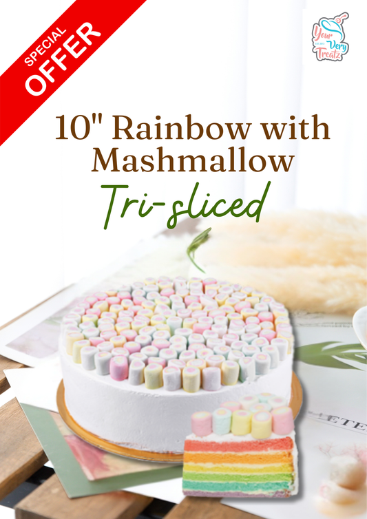 R. 10" Rainbow with Mashmallow cake (Tri-sliced)